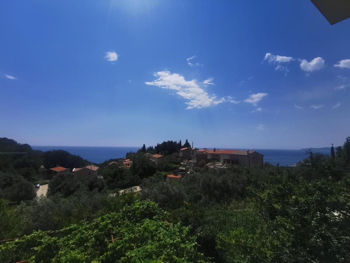 Apartments Djedovic 2 Petrovac Eksteriør billede